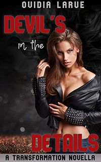 Devil's in the Details eBook Cover, written by Ovidia Larue