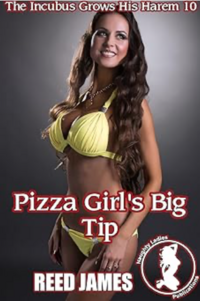 Pizza Girl's Big Tip eBook Cover, written by Reed James