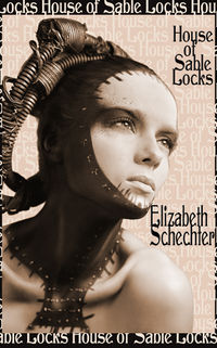 House of Sable Locks eBook Cover, written by Elizabeth Schechter