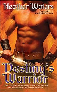 Destiny's Warrior Book Cover, written by Heather Waters