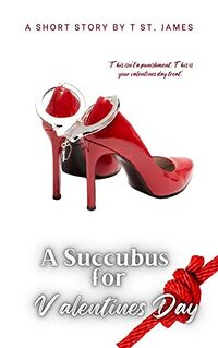 A Succubus For Valentines Day eBook Cover, written by T St. James