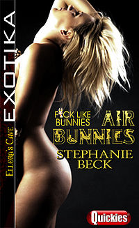Air Bunnies eBook Cover, written by Stephanie Beck