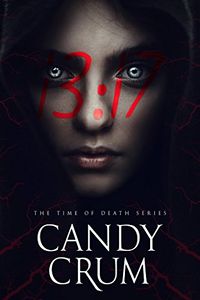 13:17 eBook Cover, written by Candy Crum