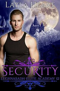Security eBook Cover, written by Layla Heart