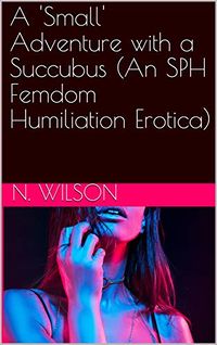 A 'Small' Adventure with a Succubus eBook Cover, written by N. Wilson