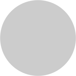 Plain Disc 20% grey.png