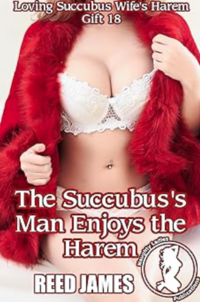 The Succubus's Man Enjoys the Harem eBook Cover, written by Reed James