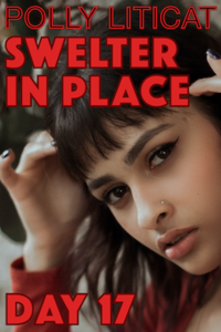 Swelter in Place: Day 17 eBook Cover, written by Polly Liticat