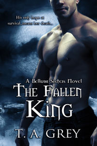 The Fallen King Book Cover, written by T. A. Grey