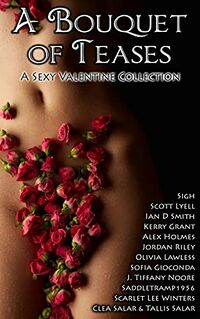 A Bouquet of Teases: A Sexy Valentine Collection eBook Cover, written by Olivia Lawless, Jordan Riley, Clea Salar, Tallis Salar, , J. Tiffany Noore, Scarlet Lee Winters, Kerry Grant, Sofia Gioconda, Scott Lyell and Alex Holmes