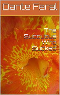 The Succubus Who Sucked eBook Cover, written by Dante Feral & Jack Parvo