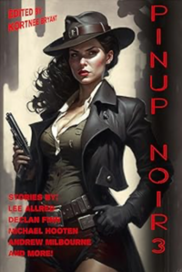 Pinup Noir 3 eBook Cover, written by Lee Allred, Samuel Nettles, John D. Martin, Michael A. Hooten, Seth Taylor, Kim Johnson, Declan Finn, Andrew Milbourne, Paul Williams and Robert McDonald