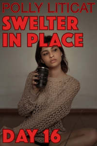 Swelter in Place: Day 16 eBook Cover, written by Polly Liticat