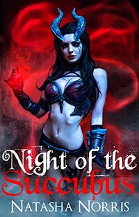 Night of the Succubus eBook Cover, written by Natasha Norris