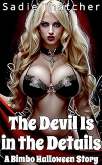 The Devil Is in the Details eBook Cover, written by Sadie Thatcher