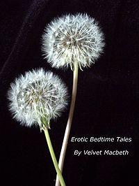 Erotic Bedtime Tales eBook Cover, written by Velvet Macbeth
