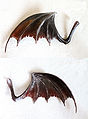Succubus Doll Wings